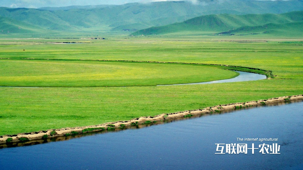 我們如何養活世界？面向未來的智能農業